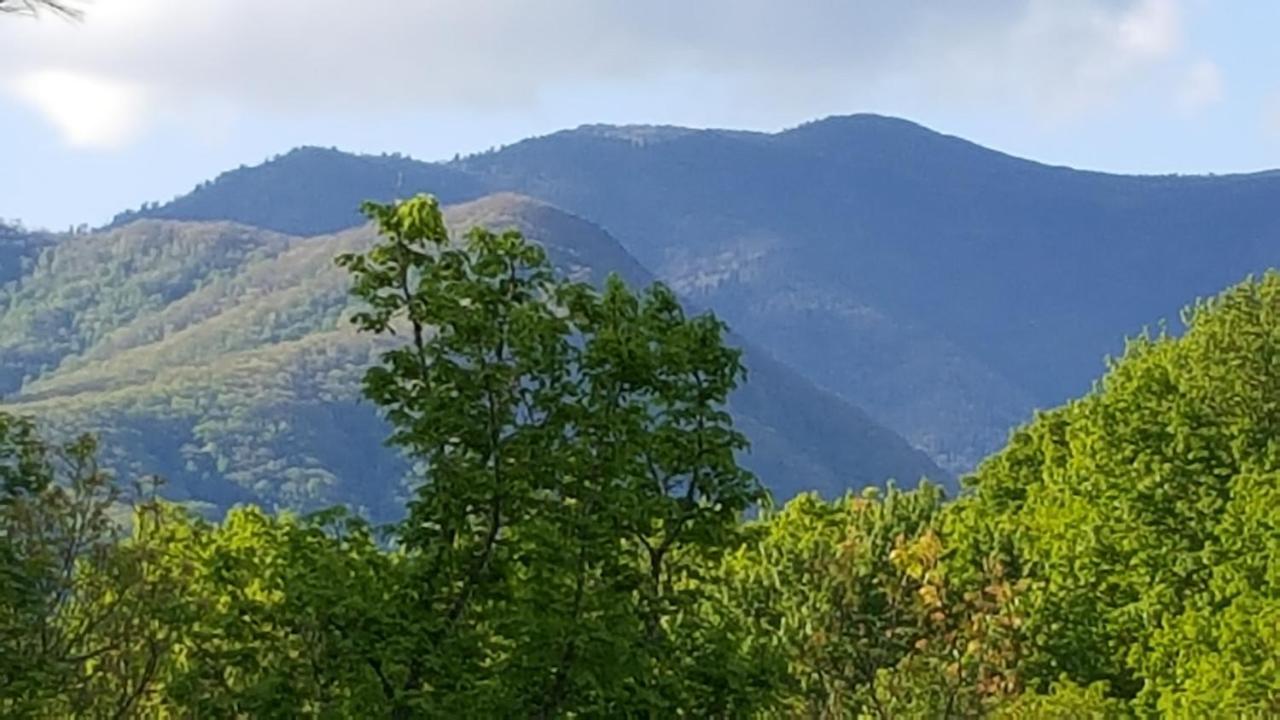 Mountain Serenity Gatlinburg Zewnętrze zdjęcie
